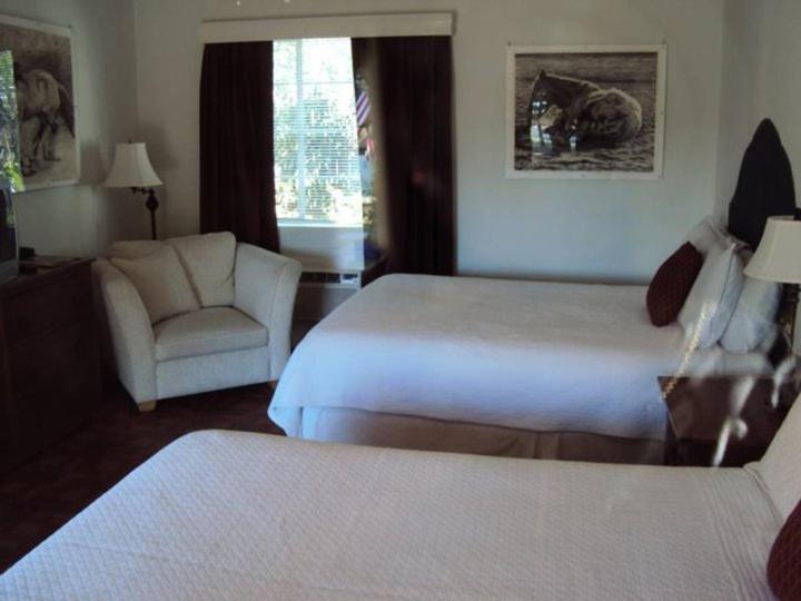 La Siesta Motel ทูซอน ห้อง รูปภาพ