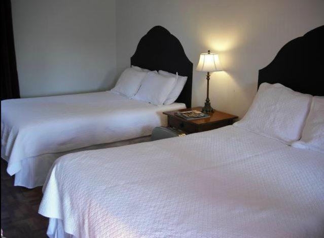 La Siesta Motel ทูซอน ห้อง รูปภาพ